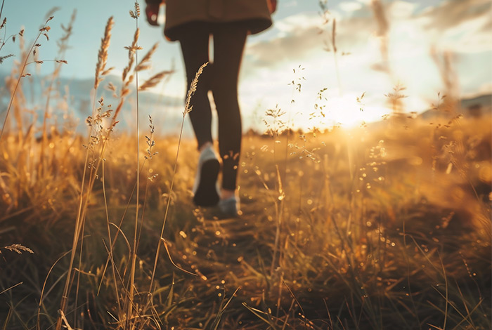 Brug Naturen Til At Lade Op I 700X470px